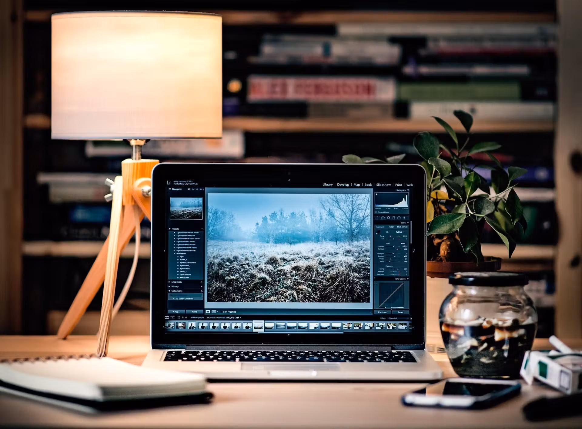 Immagine articolo eCommerce Di Successo: Cosa Li Accomuna?