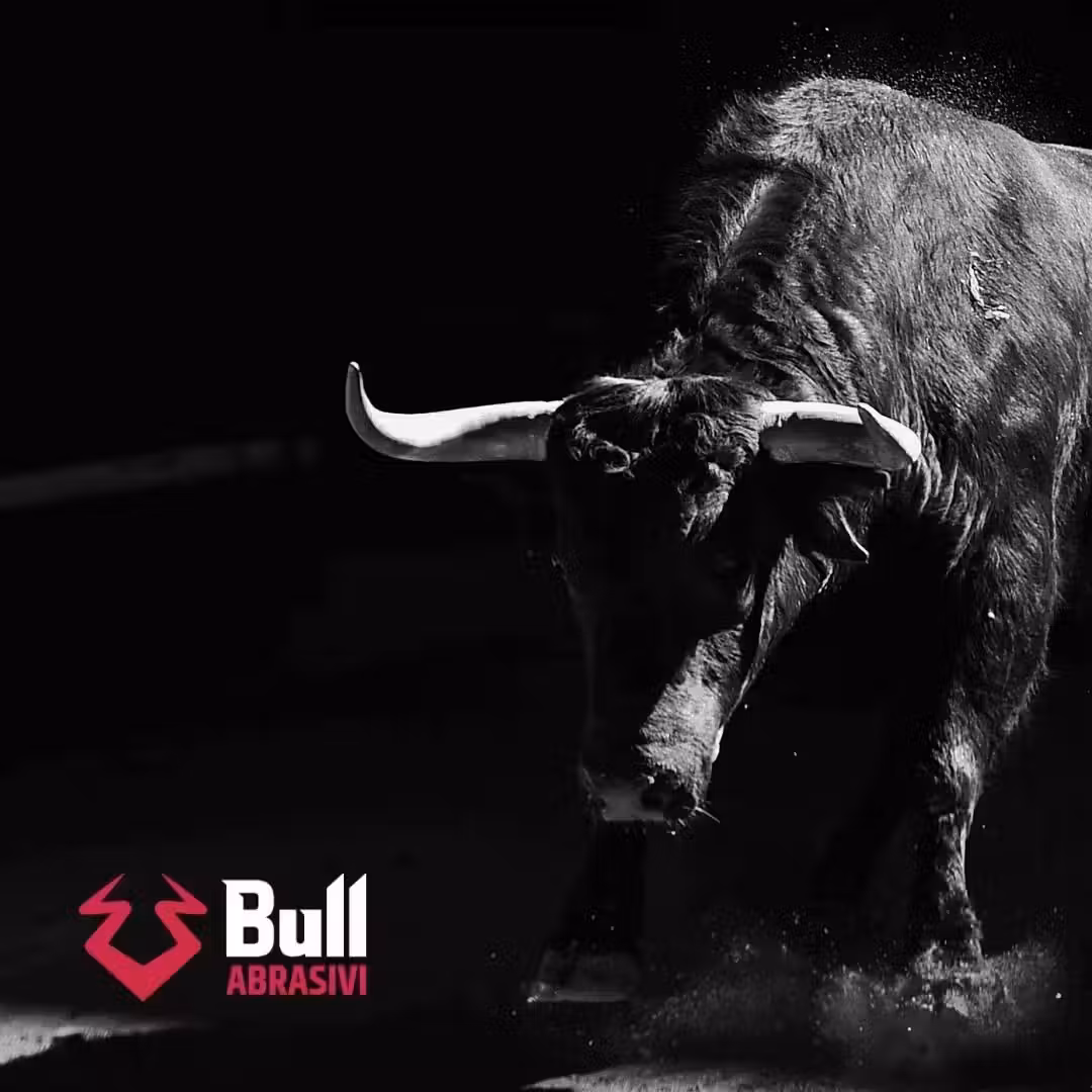 Bull_Abrasivi_d168b56c29.jpeg