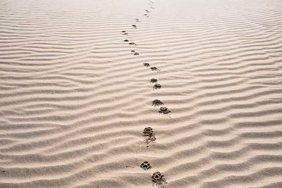 Seconda fase del processo decisionale: consideration