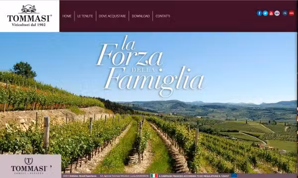 Vuoi dare una spinta positiva alla tua azienda vitivinicola? 