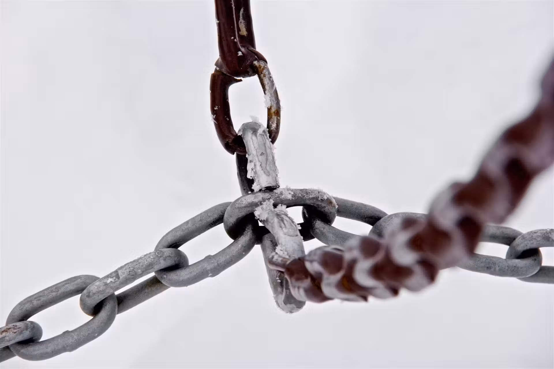 Immagine articolo Analisi backlink: 4 step per farla al meglio