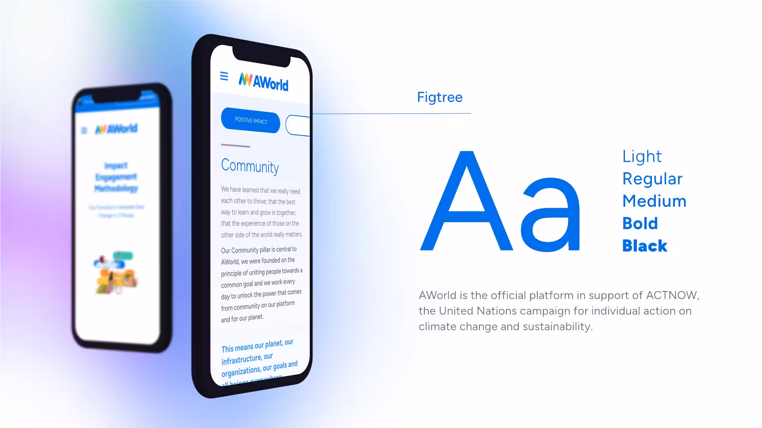 netstrategy_foto_3.jpg