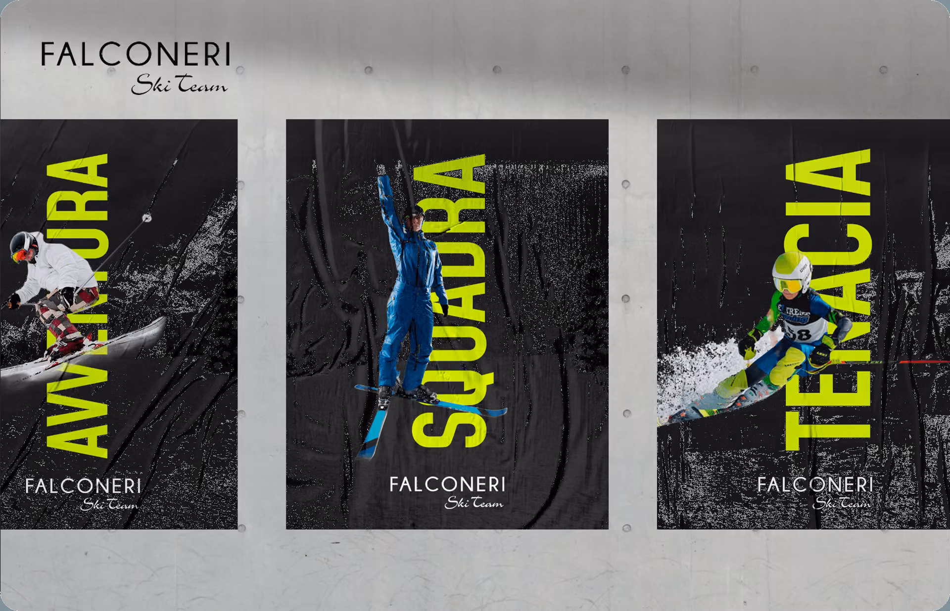 3-falconeri.png