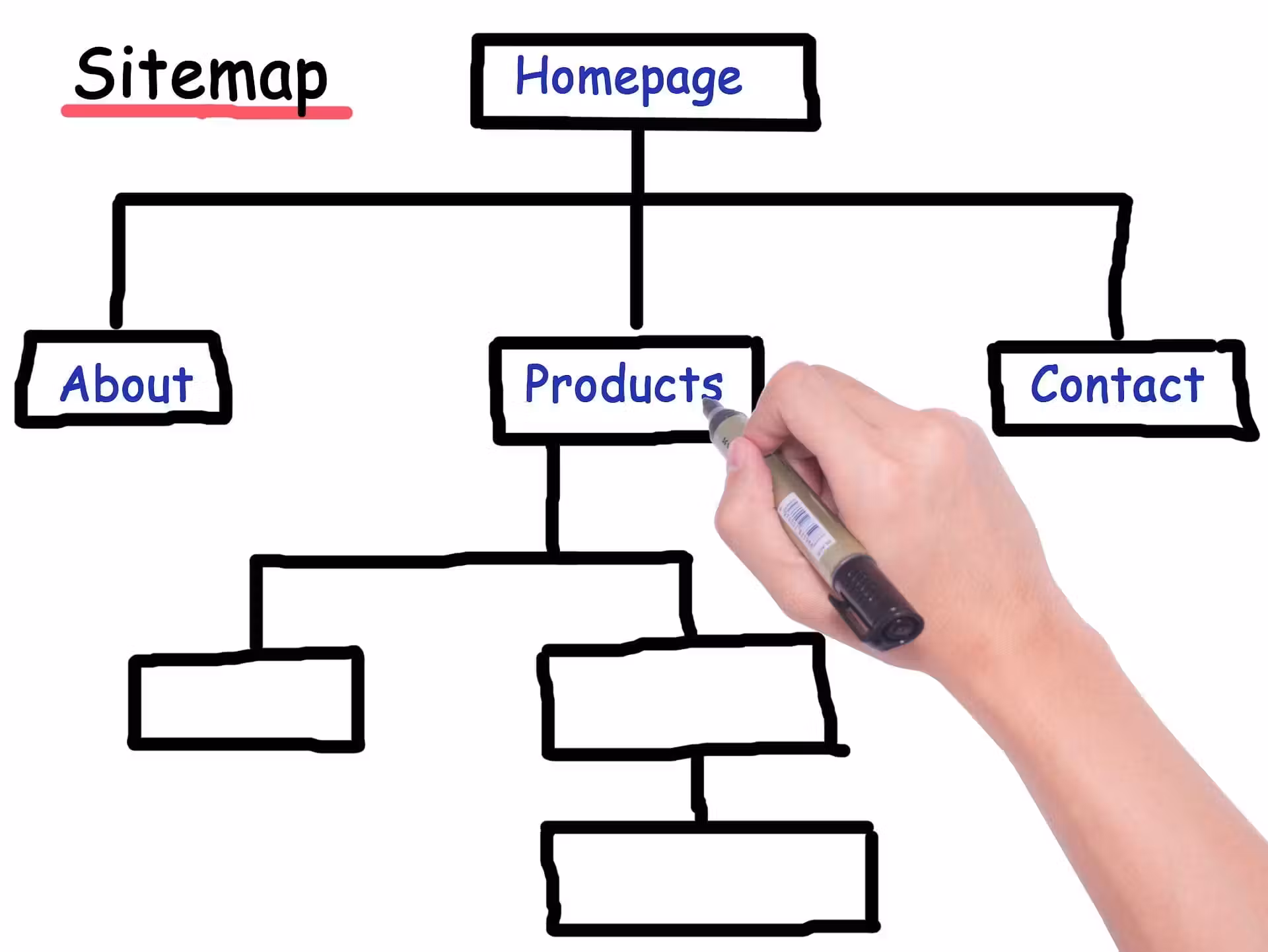 Immagine articolo Alberatura sito web: come ottimizzare l'architettura step by step
