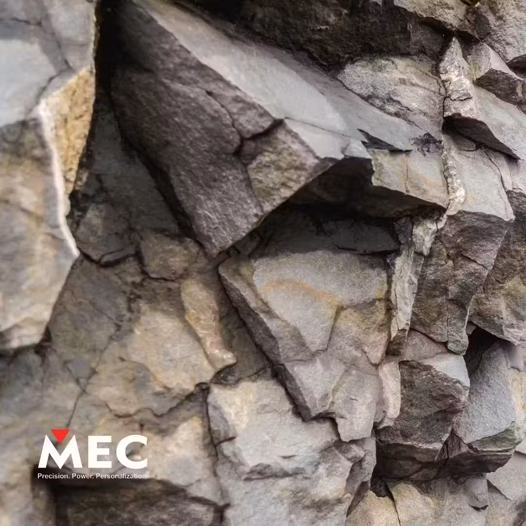 Mec_2a1a1f89aa.jpeg