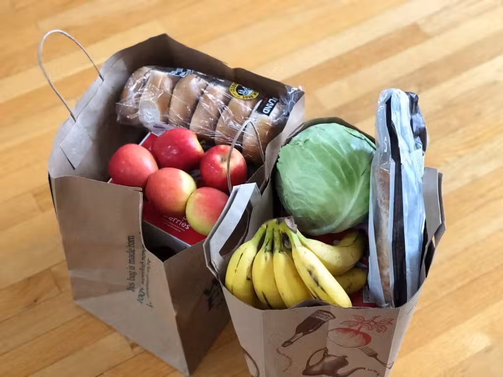 bag of food