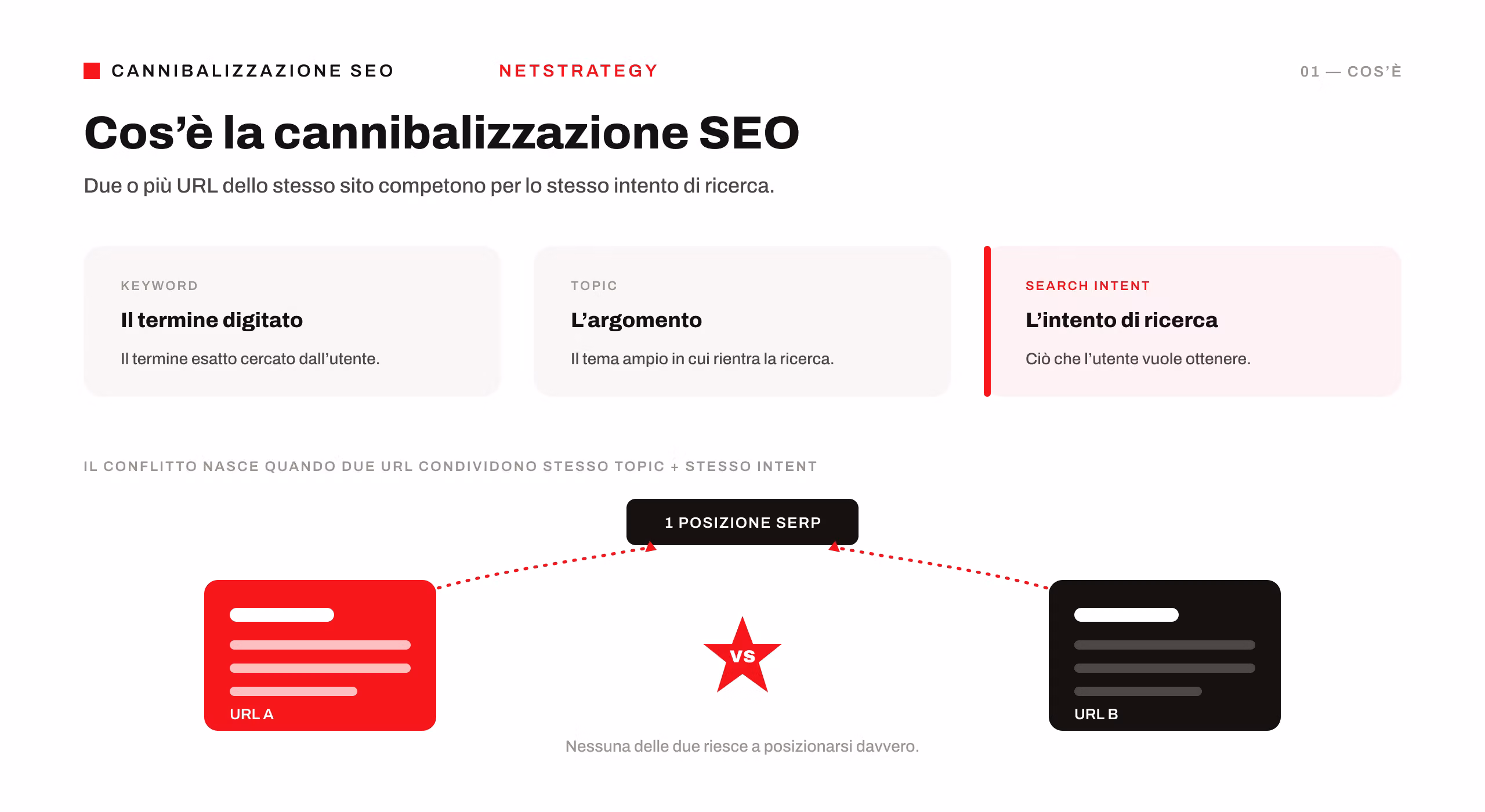cosa-e-cannibalizzazione-seo.png
