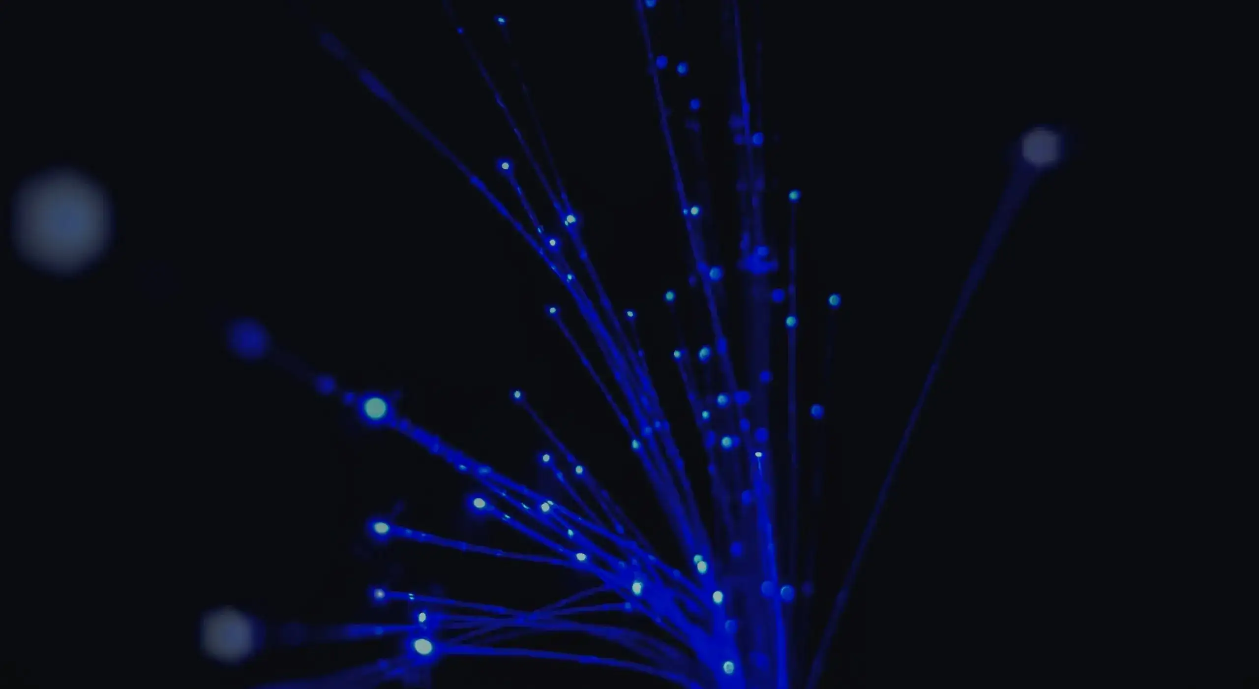 Immagine di presentazione sezione sito web