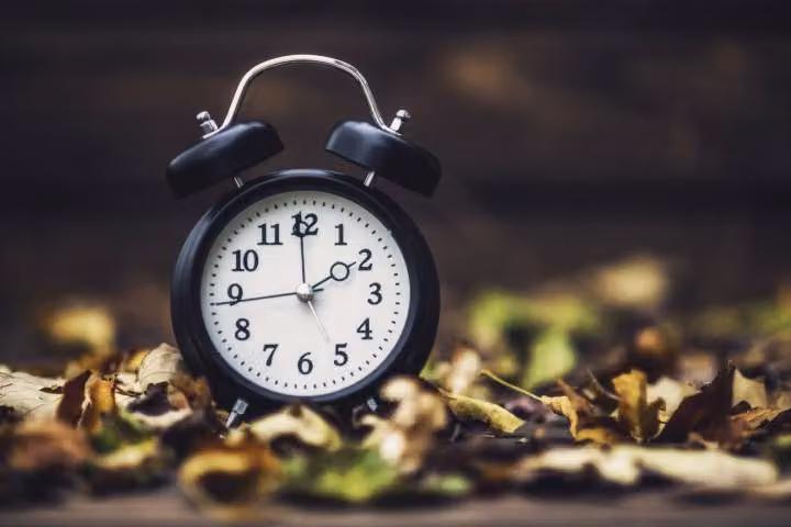 Quanto ti rende una fiera?