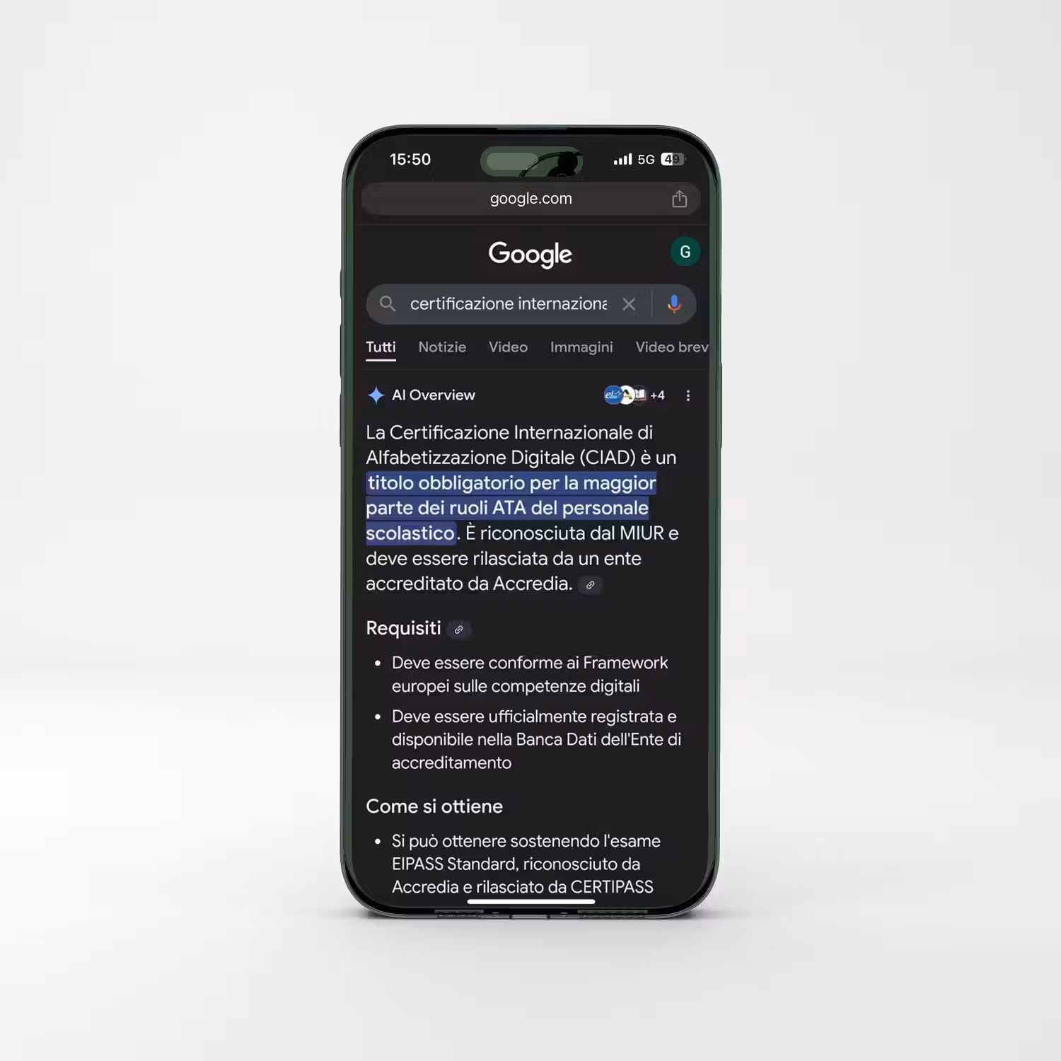 NS-blog-Ai-overview-2.jpg