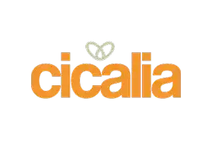 Certificato 4